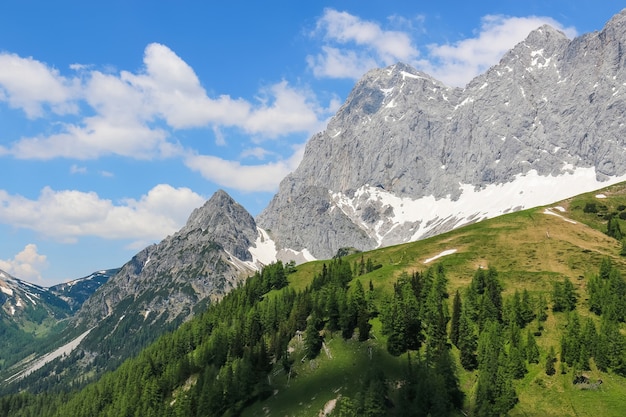 Vista closeup montagne alpine nel parco nazionale Dachstein, Austria, Europa. Cielo azzurro e foresta verde in un giorno d'estate