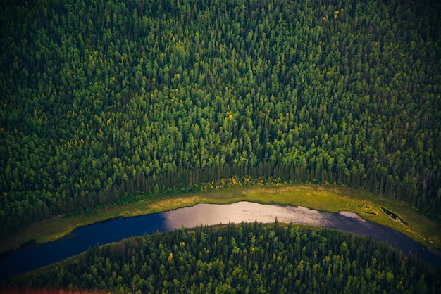 Vista da un'altezza della taiga con un fiume in siveria