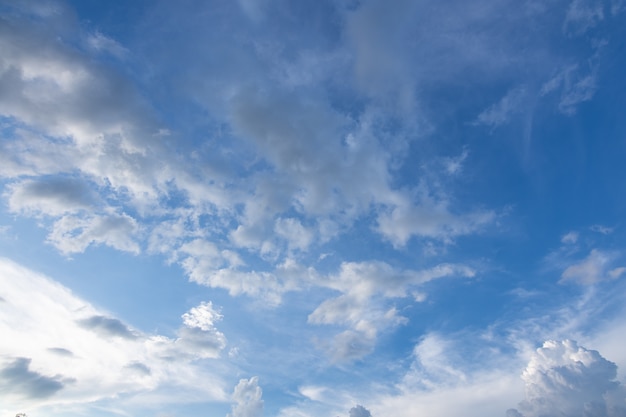 Vista dal basso delle nuvole nel cielo