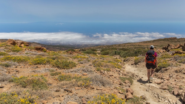 Vista dal Guajara del sud di Tenerife.