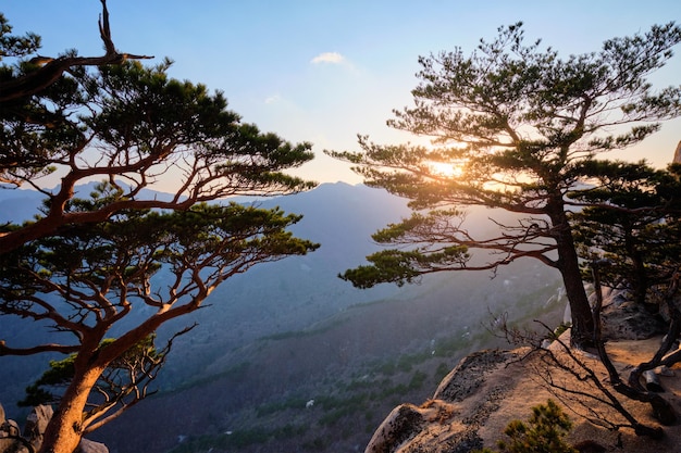 Vista dal picco di roccia di ulsanbawi sul parco nazionale di seoraksan al tramonto, corea del sud