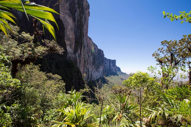 Vista dal Roraima Tepui Table Mountain Tripla frontiera Venezuela Guyana Brasile