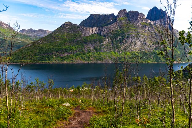 vista dal sentiero hesten della città di fjordegard e delle imponenti montagne della norvegia, senja