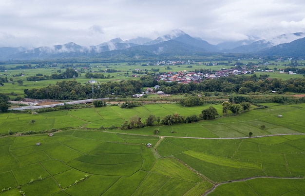 vista dall'alto Campo di riso terrazzato a Chiangmai nel nord della Thailandia