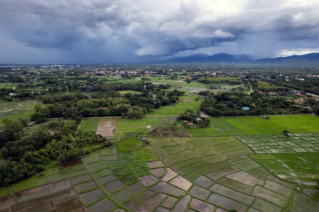 vista dall'alto Campo di riso terrazzato a Chiangmai nel nord della Thailandia