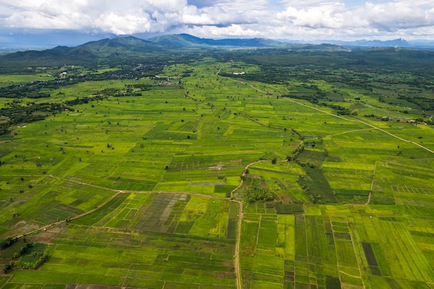 Vista dall'alto Campo di riso terrazzato a Chiangmai nel nord della Thailandia