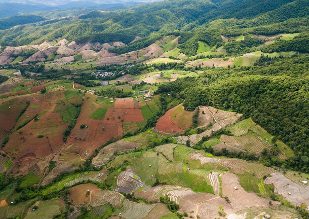 Vista dall'alto campo di riso terrazzato a Mae Cham Chiangmai Thailandia del Nord