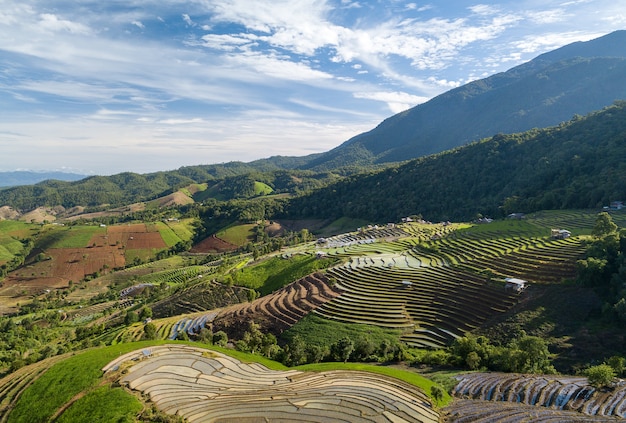 Vista dall'alto campo di riso terrazzato a Mae Cham Chiangmai Thailandia del Nord