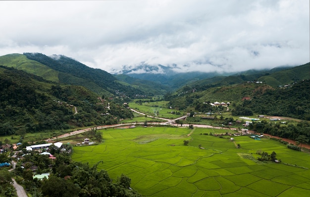 Vista dall'alto Campo di riso terrazzato a Mae Cham Chiangmai Thailandia del Nord