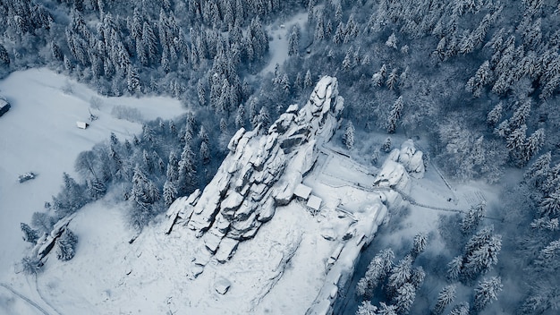 Vista dall'alto del fiume della foresta in inverno. il concetto di turismo invernale.