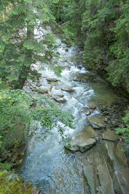 Vista dall'alto del fiume di montagna Il fiume scorre attraverso enormi blocchi di pietre Incantevole fauna selvatica