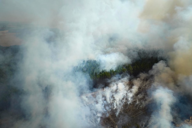 Vista dall'alto del fumo denso proveniente da boschi e campi in fiamme che si innalzano inquinando l'aria Concetto di disastro naturale