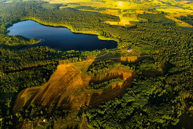 Vista dall'alto del lago Bolta nella foresta nel Parco nazionale dei laghi di Braslav all'alba, i luoghi più belli della Bielorussia. Un'isola nel lago. Bielorussia.