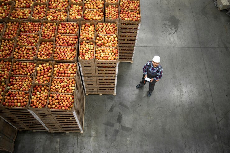 Vista dall'alto del lavoratore in piedi da casse di frutta mela nel magazzino della fabbrica di alimenti biologici