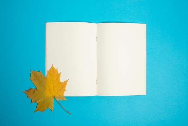 Vista dall'alto del libro di carta bianco con foglia d'autunno secca sulla pagina