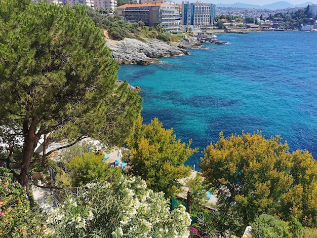 Vista dall'alto del mare e del giardino con pini bouganville mimose e altri fiori