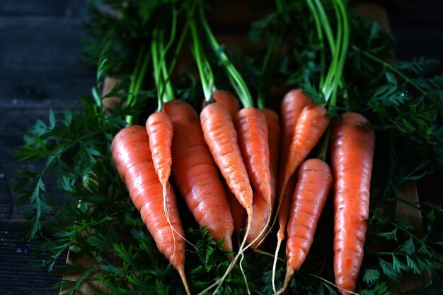 Vista dall'alto del mazzo di carote arcobaleno biologiche fresche su sfondo nero che rappresenta il concetto di cibo sano