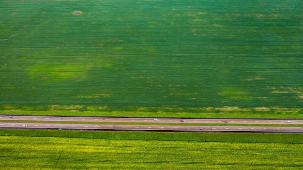 Vista dall'alto del verde seminato in Belarus.Agricoltura in Belarus.Texture.