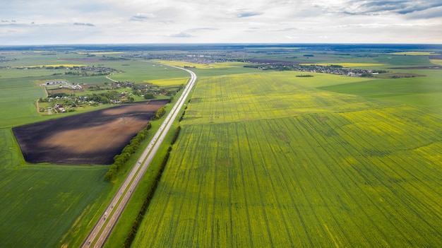 Vista dall'alto del verde seminato in Belarus.Agricoltura in Belarus.Texture.