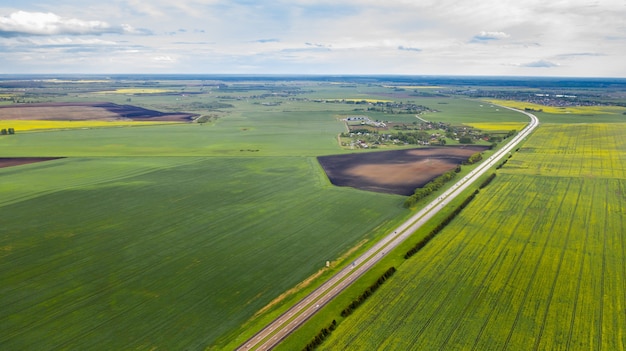 Vista dall'alto del verde seminato in Belarus.Agricoltura in Belarus.Texture.