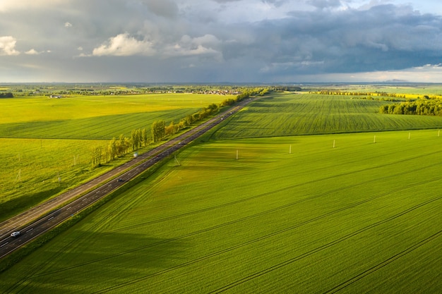 Vista dall'alto del verde seminato in Belarus.Agricoltura in Belarus.Texture.