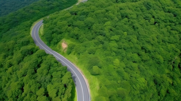 Vista dall'alto dell'albero forestale con il concetto di ambiente dell'ecosistema automobilistico Strada di campagna che passa attraverso la foresta verde e la montagna