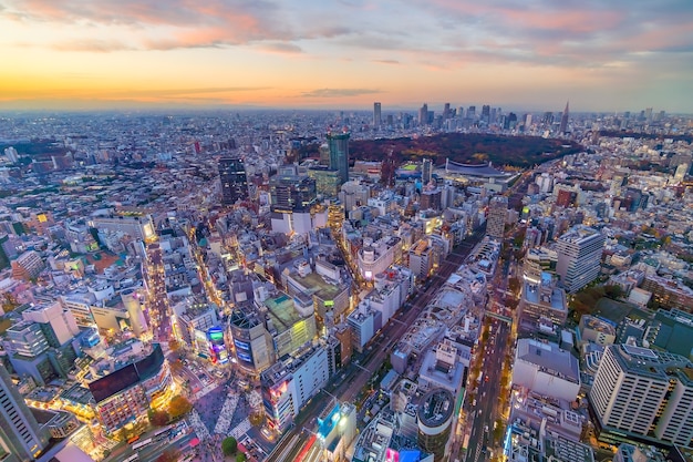 Vista dall'alto dell'area dello skyline della città di Tokyo (Shinjuku e Shibuya) al tramonto in Giappone.