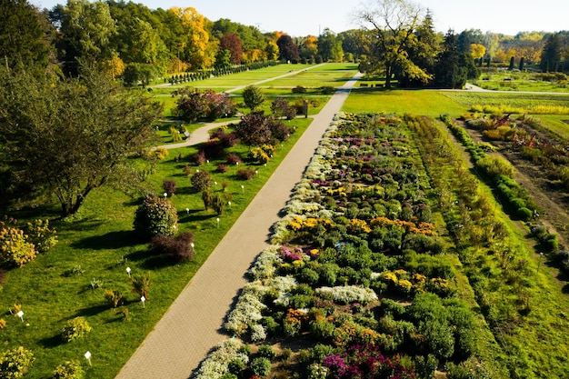 Vista dall'alto dell'autunno Minsk Botanical Garden Bielorussia