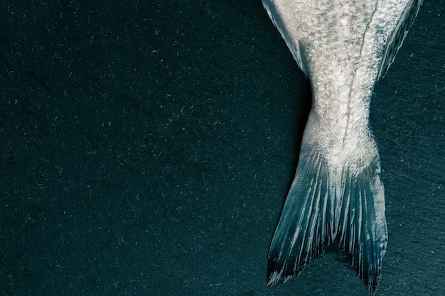 Vista dall'alto della coda di pesce crudo sulla superficie nera. Copia spazio sul lato sinistro