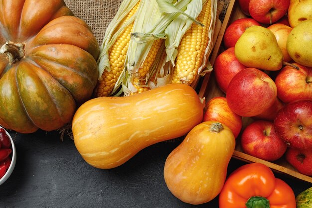 Vista dall'alto della composizione vegetale con zucche e mele