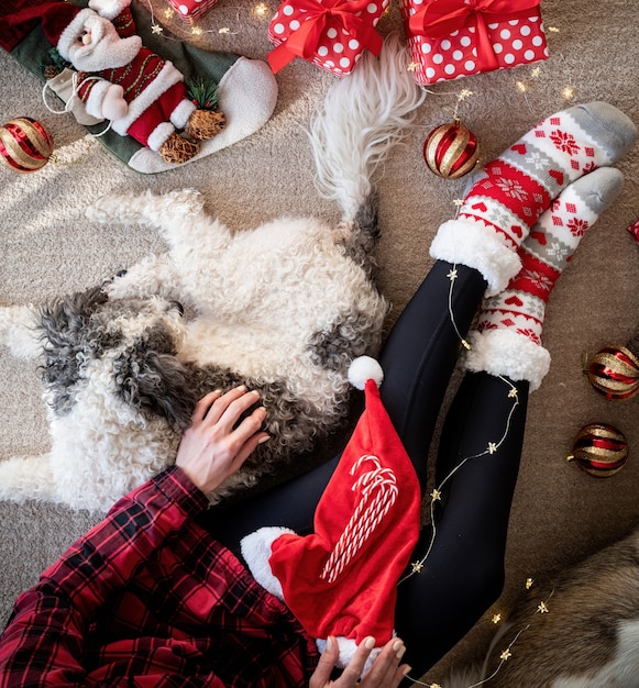 Vista dall'alto della donna in calzini divertenti che celebrano il Natale con il suo cane