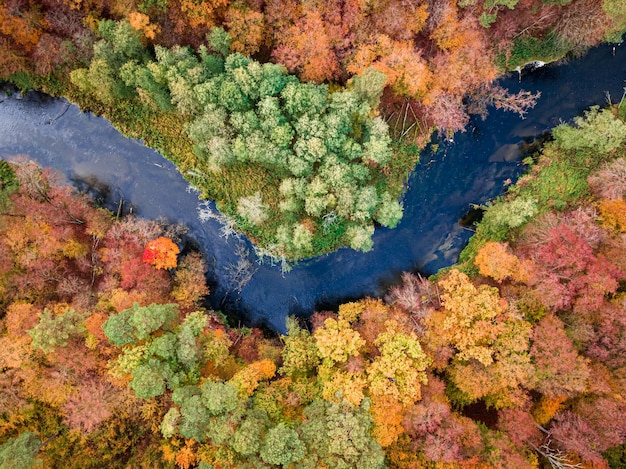 Vista dall'alto della foresta e del fiume in autunno