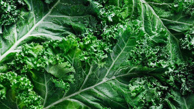 Vista dall'alto della fotografia macro del fondo dell'alimento dell'insalata di cavolo riccio fresco