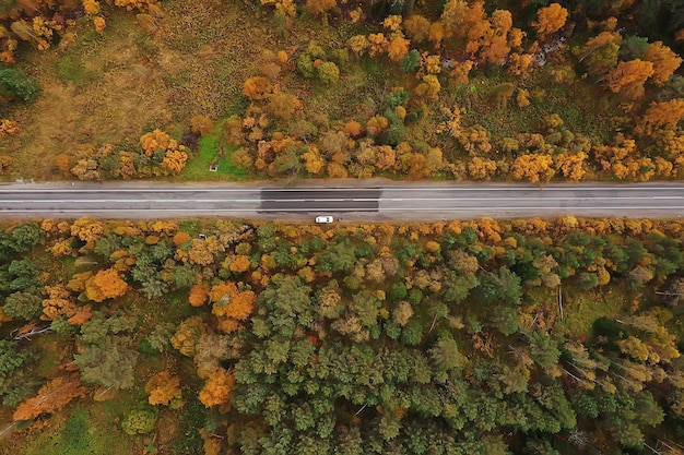 vista dall'alto della strada autunnale, paesaggio in autunno con drone