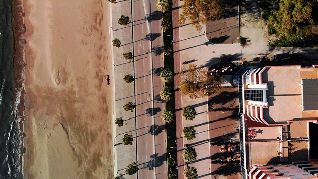 Vista dall'alto della strada e della palma