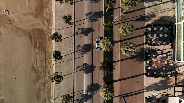 Vista dall'alto della strada e della palma