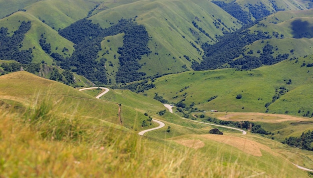 Vista dall'alto delle colline e dei prati ricoperti di erba. Fotografato nel Caucaso, in Russia.