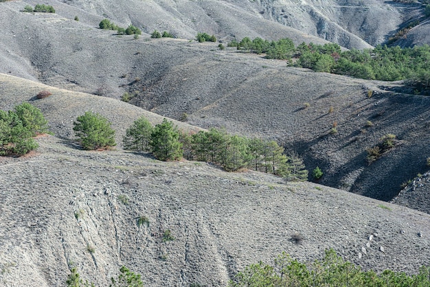 Vista dall'alto delle colline ondulate di calcare e arenaria