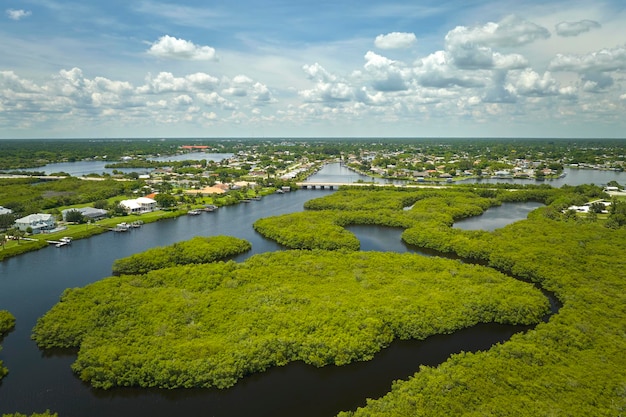 Vista dall'alto delle Everglades della Florida con vegetazione verde tra le prese d'acqua dell'oceano Habitat naturale di molte specie tropicali nelle zone umide