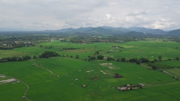 Vista dall&#39;alto delle risaie nel nord della Thailandia