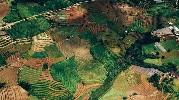 Vista dall&#39;alto delle risaie nel nord della Thailandia