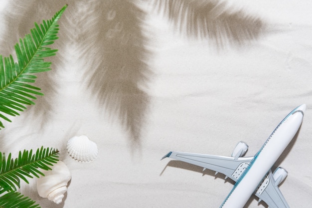 Vista dall'alto dello sfondo del viaggiatore su conchiglie di sabbia tropicale e aereo