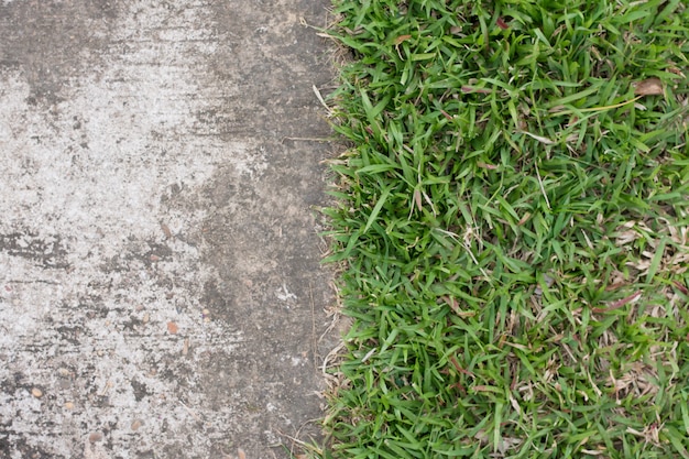 Vista dall&#39;alto di erba verde con pavimento in cemento