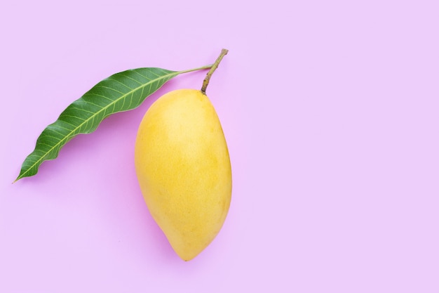 Vista dall'alto di mango giallo su sfondo rosa.