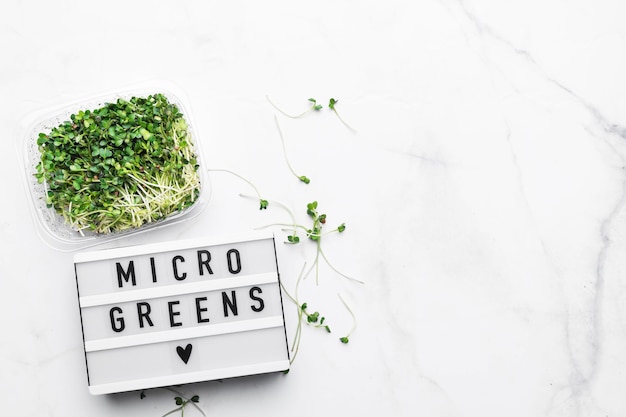 Vista dall'alto di microgreens con lightbox