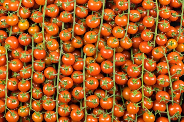 Vista dall'alto di molti pomodori verdi della varietà ramo di ciliegio, colore rosso. Supermercato,