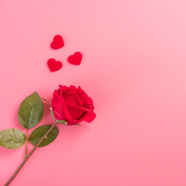 Vista dall'alto di rose con cuore come regalo per il saluto di San Valentino.