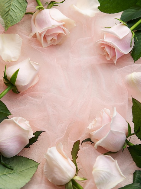 Vista dall'alto di rose rosa su sfondo di tulle rosa