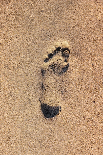 Vista dall'alto di un'impronta a sinistra su una spiaggia sabbiosa