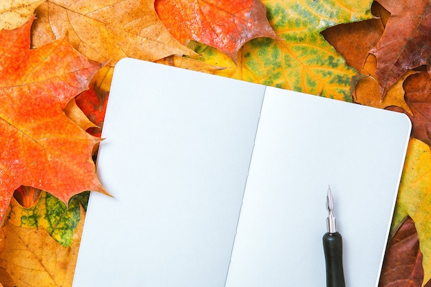 Vista dall'alto di un quaderno con foglie autunnali e penna a inchiostro. Foglie di acero colorate e pagine bianche del diario. Modello autunnale, copia spazio, vista dall'alto, concetto educativo. Sfondo di foglie autunnali naturali.